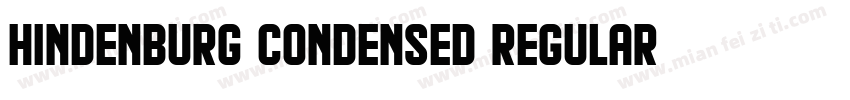 Hindenburg Condensed Regular字体转换